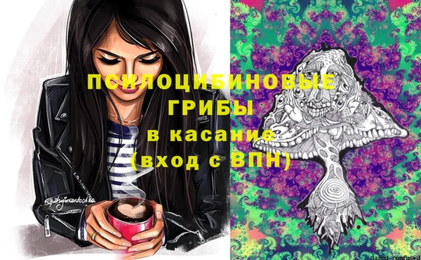 СК Белокуриха