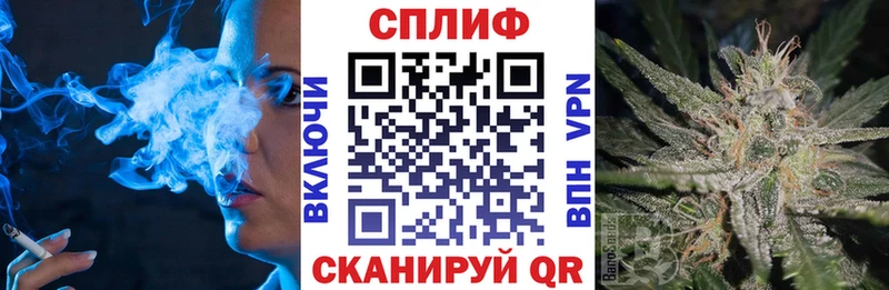 mega как войти  Верхняя Пышма  Бошки марихуана тримм  где можно купить  